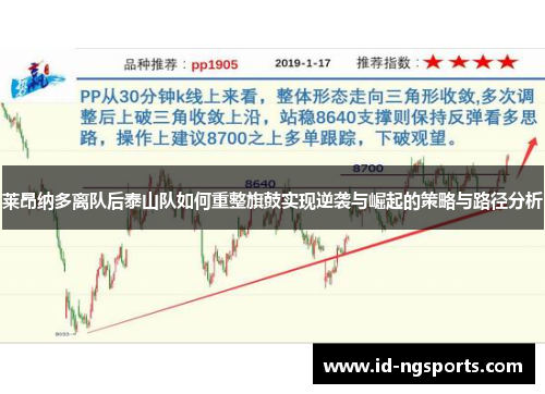 莱昂纳多离队后泰山队如何重整旗鼓实现逆袭与崛起的策略与路径分析