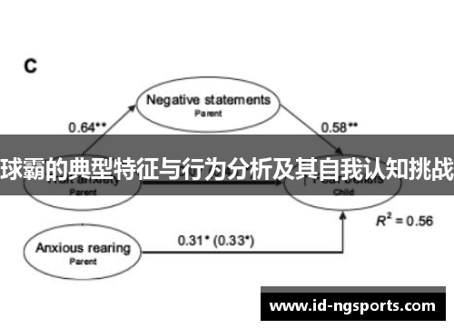 球霸的典型特征与行为分析及其自我认知挑战
